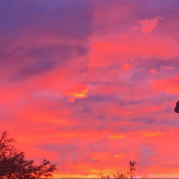 Meet your Posher, Hannah - Picture 1 of 1